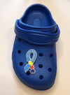 Autism Awareness Shoe Charm