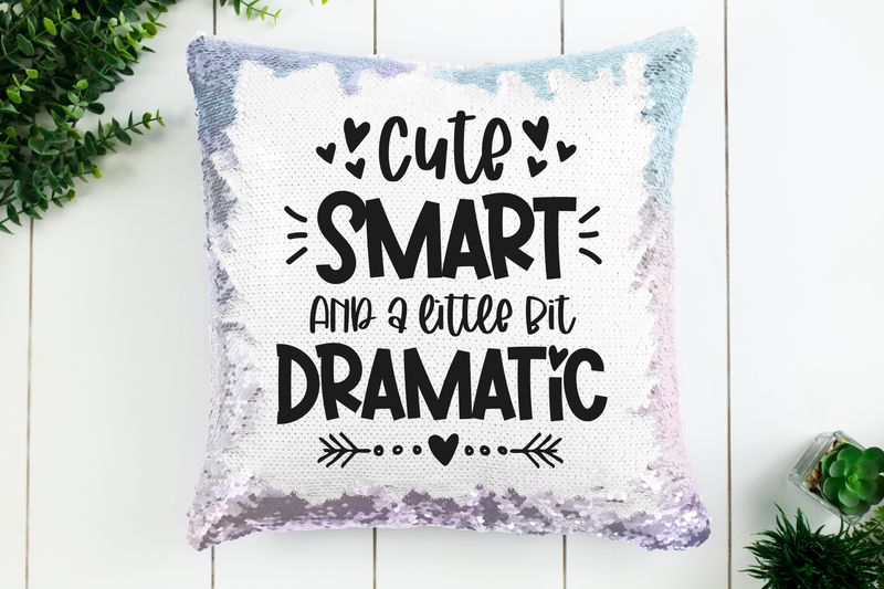 Cute Smart Dramatic Sequin Pillow